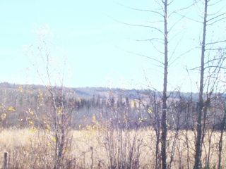 Photo 3: PART NW1/4 281 Road in Charlie Lake: Fort St. John - Rural W 100th Land for sale (Fort St. John)  : MLS®# R2659669