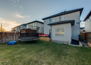 Photo 50: 526 CHAPARRAL Drive SE in Calgary: Chaparral Detached for sale : MLS®# A1216162
