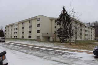 Photo 1: 318 111 Charles Avenue NW: Fort McMurray Apartment for sale : MLS®# A2009640