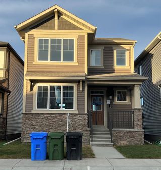 Photo 1: 116 Cityspring Way NE in Calgary: Cityscape Detached for sale : MLS®# A2017139