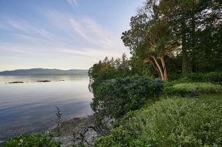 Photo 39: 565 Towner Park Rd in North Saanich: NS Deep Cove House for sale : MLS®# 911735