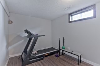 Photo 19: Hillview in Edmonton: Zone 29 House for sale : MLS®# E4151612