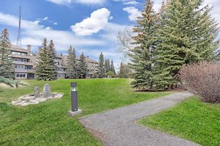 Photo 27: 5 207 Village Terrace SW in Calgary: Patterson Apartment for sale : MLS®# A2045542