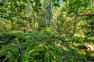 Photo 23: Lot 1 Telegraph Rd in Cobble Hill: ML Cobble Hill Land for sale (Malahat & Area)  : MLS®# 956650