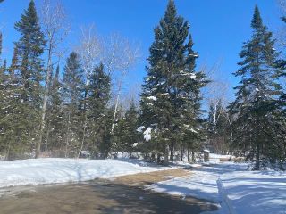 Photo 39: 176 GRAND PINES Drive in Traverse Bay: Grand Pines Golf Course Residential for sale (R27)  : MLS®# 202208281