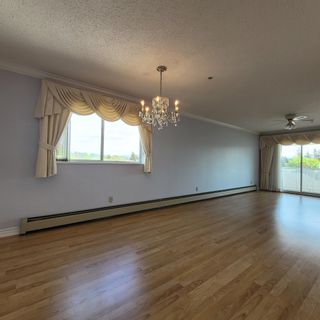 Photo 15: 306 31850 UNION Avenue in Abbotsford: Abbotsford West Condo for sale in "FERNWOOD MANOR" : MLS®# R2879451
