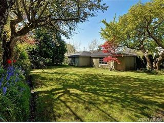 Photo 5: 325 Walter Ave in VICTORIA: SW Gorge House for sale (Saanich West)  : MLS®# 698626