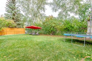 Photo 35: 52 Edgepark Crescent NW in Calgary: Edgemont Detached for sale : MLS®# A2082066