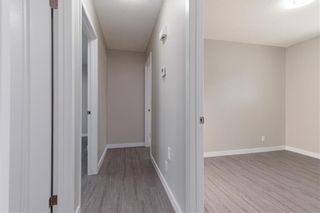 Photo 12: 417 Meadowood Drive in Winnipeg: Residential for sale (2E)  : MLS®# 202127798