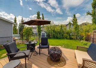 Photo 45: 35 Cougar Ridge Link SW in Calgary: Cougar Ridge Detached for sale : MLS®# A2051794
