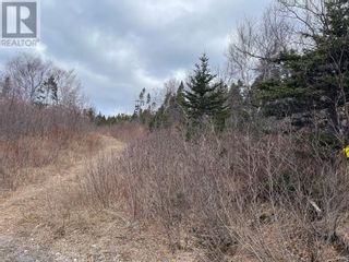 Photo 2: 102-104 Freshwater Pond Road in Lewins Cove: Vacant Land for sale : MLS®# 1262433
