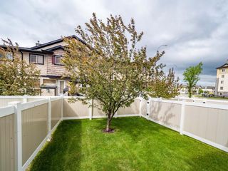 Photo 23: 124 Royal Birch Mount NW in Calgary: Royal Oak Row/Townhouse for sale : MLS®# A1229465