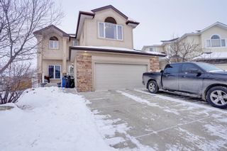 Photo 1: 200 cove Court: Chestermere Detached for sale : MLS®# A1170390