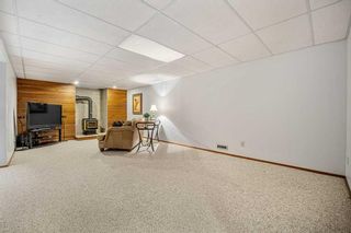 Photo 24: 911 Parkvalley Way SE in Calgary: Parkland Detached for sale : MLS®# A2094282