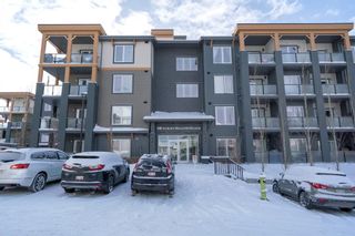 Photo 18: 104 300 Auburn Meadows Manor SE in Calgary: Auburn Bay Apartment for sale : MLS®# A2022411
