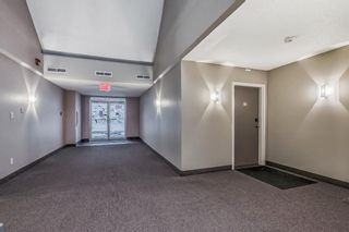 Photo 43: 10 301 Village Mews SW in Calgary: Patterson Apartment for sale : MLS®# A2099346