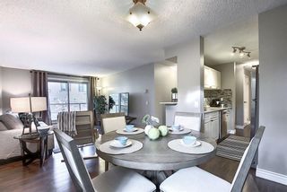 Photo 28: 303 130 25 Avenue SW in Calgary: Mission Apartment for sale : MLS®# A1023034