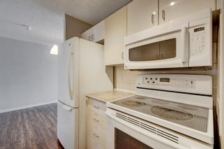 Photo 11: 117 816 89 Avenue SW in Calgary: Haysboro Apartment for sale : MLS®# A2022209