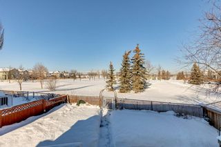 Photo 46: 168 Chaparral Common SE in Calgary: Chaparral Detached for sale : MLS®# A2028317