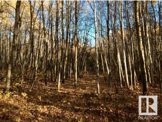 Photo 6: 1 2415 TWP RD 521: Rural Parkland County Rural Land/Vacant Lot for sale : MLS®# E4307419