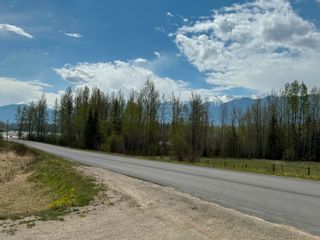 Photo 19: 2880 MOUNTAIN VIEW Road in McBride: McBride - Town Land for sale (Robson Valley)  : MLS®# R2879829