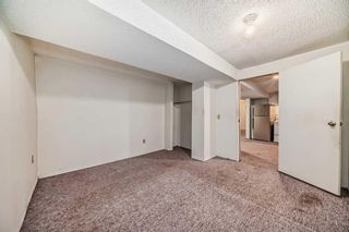Photo 29: 59 Falchurch Road NE in Calgary: Falconridge Semi Detached (Half Duplex) for sale : MLS®# A2130839