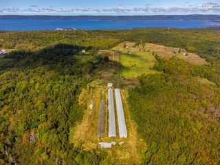Photo 3: Waldec Line Road in Waldeck East: Annapolis County Farm for sale (Annapolis Valley)  : MLS®# 202319592