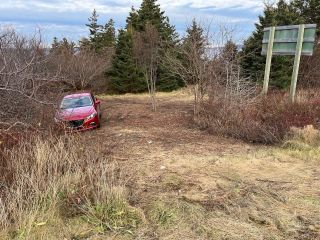 Photo 19: Lot Highway 101 in Plympton: Digby County Vacant Land for sale (Annapolis Valley)  : MLS®# 202322705