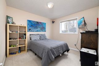Photo 22: 3716 161 Avenue in Edmonton: Zone 03 House for sale : MLS®# E4379077