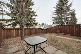 Photo 7: #3, 8115 144 Ave NW: Edmonton Townhouse for sale : MLS®# E4235047