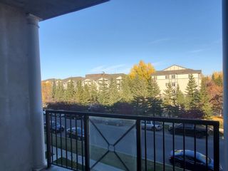 Photo 19: 3710 11811 Lake Fraser Drive SE in Calgary: Lake Bonavista Apartment for sale : MLS®# A1145706