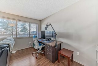 Photo 4: 1709 50 Street SE in Calgary: Forest Lawn Semi Detached (Half Duplex) for sale : MLS®# A2115014