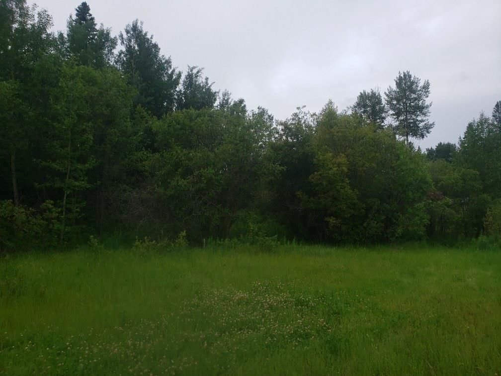Main Photo: 831 Pelican Drive: Rural Opportunity M.D. Rural Land/Vacant Lot for sale : MLS®# E4270800