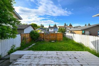 Photo 25: 42 Martindale Boulevard NE in Calgary: Martindale Detached for sale : MLS®# A2059166