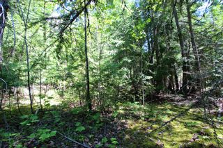 Photo 9: Lot 212 Estate Place in Anglemont: North Shuswap Land Only for sale : MLS®# 10233839