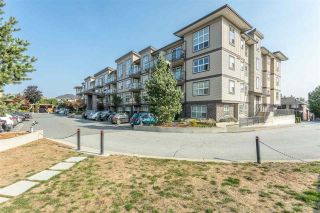 Main Photo: 210 30525 CARDINAL Avenue in Abbotsford: Abbotsford West Condo for sale in "TAMARIND WESTSIDE" : MLS®# R2875238