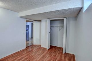 Photo 28: 5015 Whitehorn Drive NE in Calgary: Whitehorn Detached for sale : MLS®# A2131299