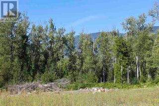 Photo 23: 2524 Enderby Mabel Lake Road in Enderby: Vacant Land for sale : MLS®# 10310628