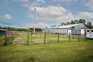 Photo 3: 7277 Highway 6 in Port Howe: 102N-North Of Hwy 104 Farm for sale (Northern Region)  : MLS®# 202215101
