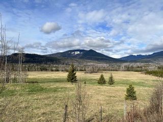 Photo 22: DL 1132 TELKWA HIGH Road in Smithers: Smithers - Rural Land for sale (Smithers And Area)  : MLS®# R2708512