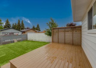 Photo 37: 243 Queen Charlotte Way SE in Calgary: Queensland Detached for sale : MLS®# A1240864