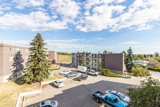 Photo 29: 401C 4455 Greenview Drive NE in Calgary: Greenview Apartment for sale : MLS®# A1052674