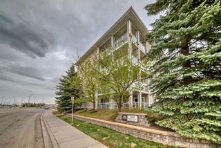 Photo 33: 211 260 Shawville Way SE in Calgary: Shawnessy Apartment for sale : MLS®# A2129170