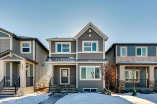 Photo 1: 164 Chelsea Glen: Chestermere Detached for sale : MLS®# A2020720