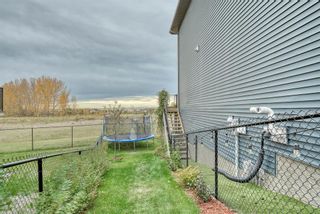 Photo 50: 141 SANDPIPER Point: Chestermere Detached for sale : MLS®# A1228638