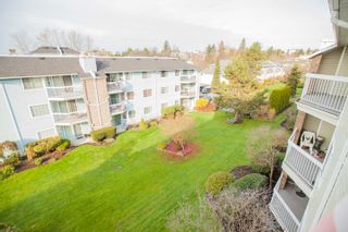 Photo 14: 311 22514 116 Avenue in Maple Ridge: East Central Condo for sale in "FRASER COURT" : MLS®# R2322303