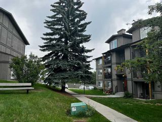 Photo 43: 332 6400 Coach Hill Road SW in Calgary: Coach Hill Apartment for sale : MLS®# A2068028