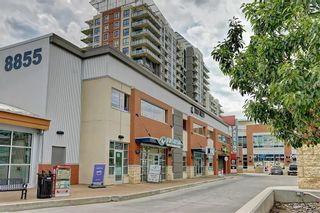 Photo 43: 105 8880 HORTON Road SW in Calgary: Haysboro Apartment for sale : MLS®# C4294111
