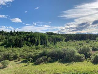 Photo 45: : Rural Clearwater County Detached for sale : MLS®# A2091854