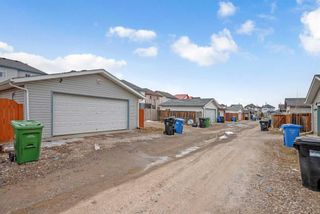 Photo 42: 40 Taravista Crescent NE in Calgary: Taradale Detached for sale : MLS®# A2123152